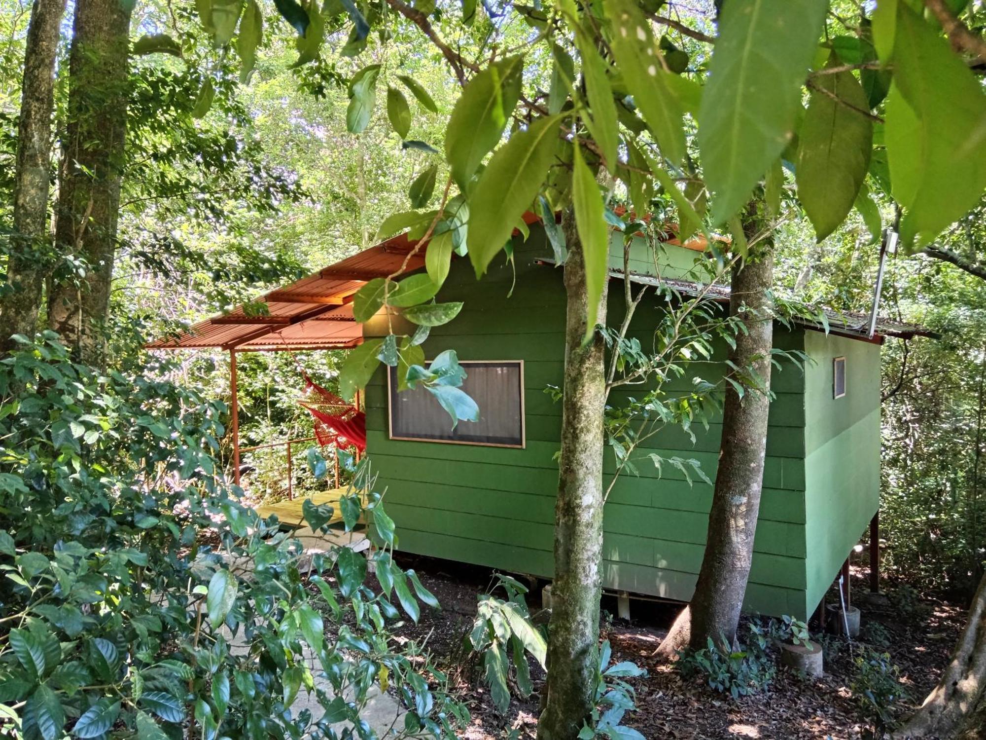 Jungle Living Tree Houses Monteverde Exterior photo